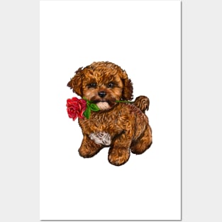 The Best Valentine’s Day Gift ideas, cavalier king charles spaniel Cute puppy dog 2 love heart sweetheart with red rose in its mouth. Cavapoochon Cavapoo dog Valentine’s Day Posters and Art